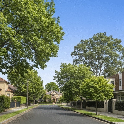 Residential street in Kew Melbourne with lush green trees and high-end architecture